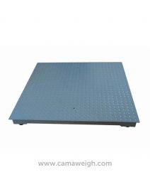 Standard Mild Steel Floor Scale