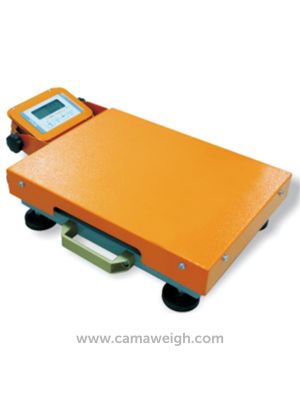 Logistic  Scales | Camaweigh | Mild Steel Indicator-LED
