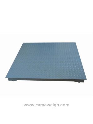 Standard Mild Steel Floor Scale