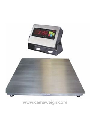 Standard Stainless Steel Floor Scale