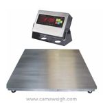 Standard Stainless Steel Floor Scale