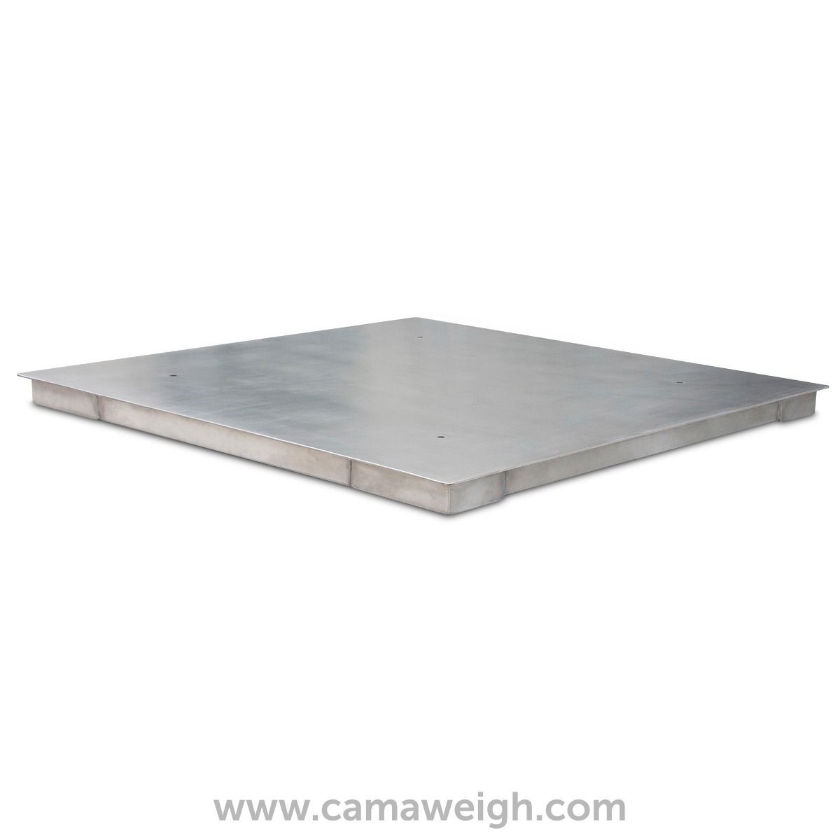 Stainless Steel Floor Scale Listed at Camaweigh for sale